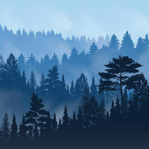 Relaxing Forest Sounds logo