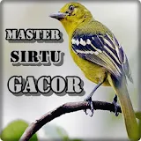 Master Sirtu Gacor icon