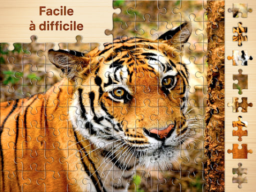 Puzzles - jeux de puzzle