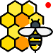 Honey VPN APK