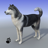 Snow Dog Survival Simulator icon