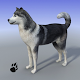 Snow Dog Survival Simulator Download on Windows