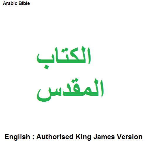 Arabic Van Dyck Bible Screen 3