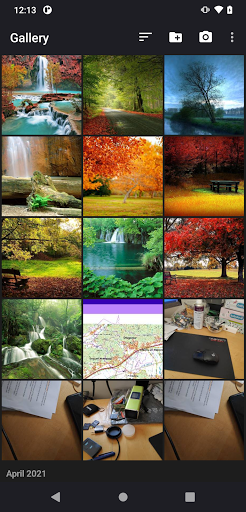 Simple Gallery Screen 3