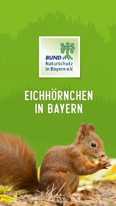 Eichhörnchen in Bayernのおすすめ画像1