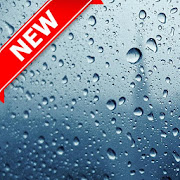 Rain 4K Wallpapers  Auto Wallpaper Changer