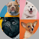 Dog Breeds: Quiz - Androidアプリ