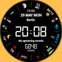 Retro LCD Black watch face