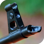 Cover Image of Download Оружейная Огнестрельное оружие 1.0.2 APK