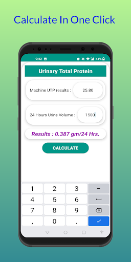 Lab Calculation BD Screen 2