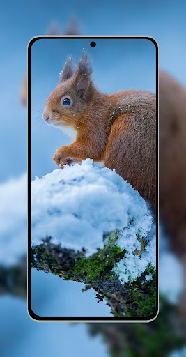 10000 Animals Wallpapers Screen 3