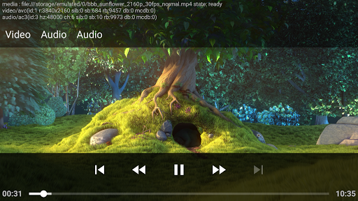 DoryCast - Video Player Screen 3