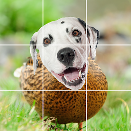 面白い動物と恐竜 - Funny Animals! Mod Apk