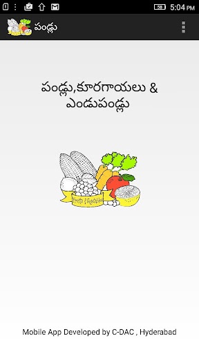 Android application Fruits screenshort