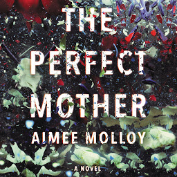 Icon image The Perfect Mother: A Novel