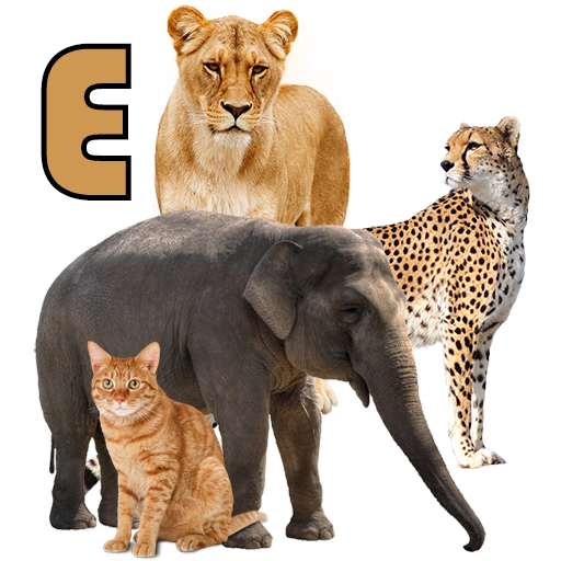 App Insights: Animals Name Animal Sounds Animals Pictures | Apptopia
