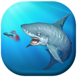 Feed Hungry Fish 3D icon