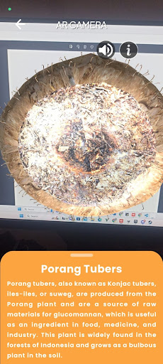 Porang Augmented Reality Screen 2