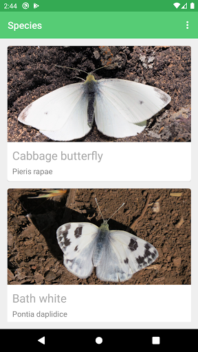 Butterflies of Canary Islands Screen 3