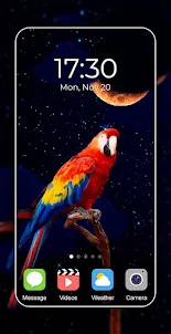Parrot Wallpaper 2024