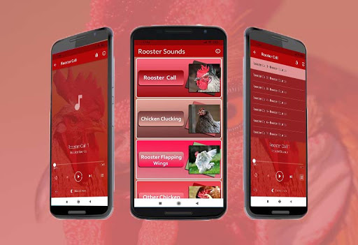 Android application Rooster Sounds screenshort