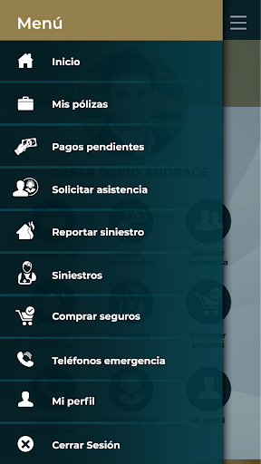 Serviseguros Screen 2