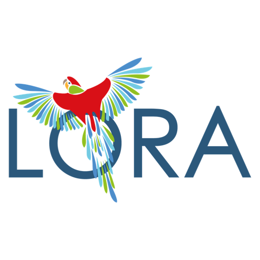 LORA Download on Windows
