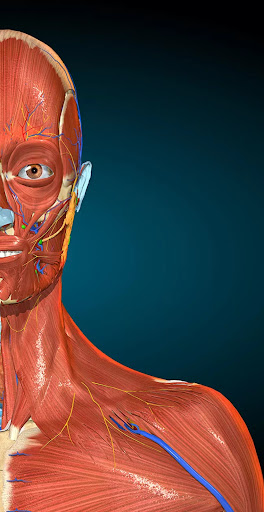 Anatomy & Physiology Screen 3