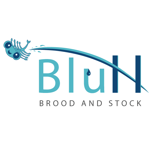BluHatch Изтегляне на Windows