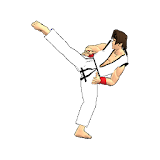 Final Karate (free) icon