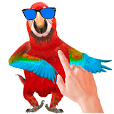 Tickle Talking Parrot icon