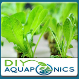 Diy Aquaponics icon