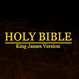 KJV Bible Study icon