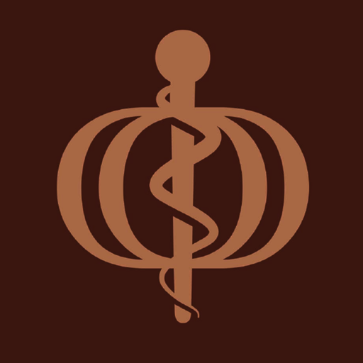 IDEMIR logo