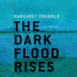 图标图片“The Dark Flood Rises: A Novel”