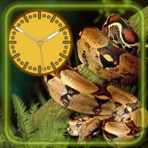 Snakes Tropical Clock