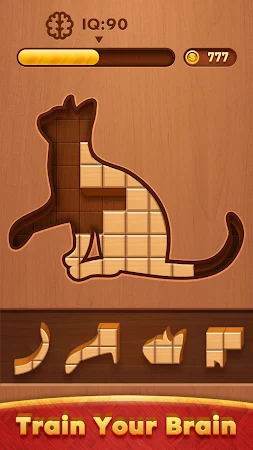 Game screenshot Block Puzzle: Wood Jigsaw Game mod apk