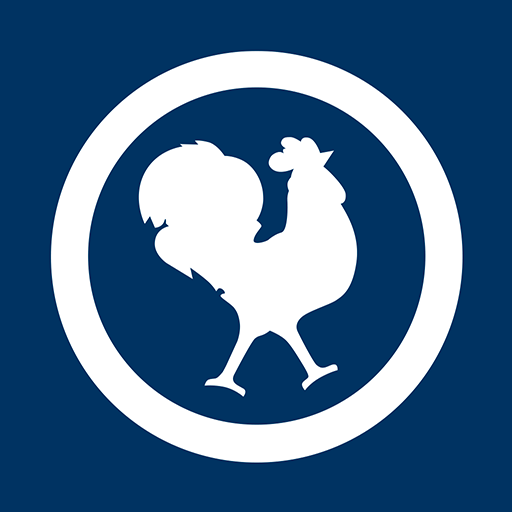 ffgolf logo