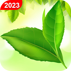 Green Leaf Live Wallpaper HD – Apps on Google Play