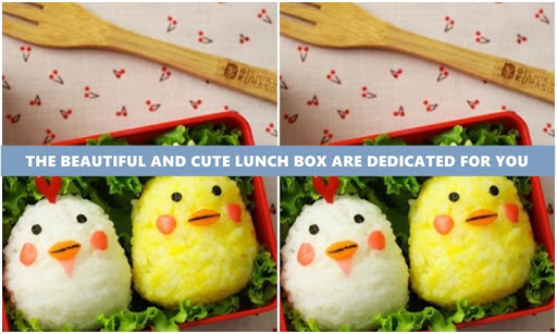 Unique Bento Box Design
