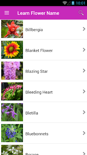 Learn Flower Name Screen 3