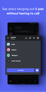 Discord – Chat, Talk  Hangout Apk 4