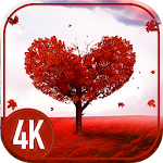 Love 4K  - Free wallpapers and backgrounds Apk