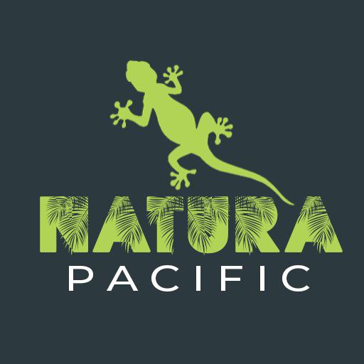 Natura Surveyor logo