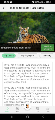 Big Cats India - Tiger Safari Screen 3