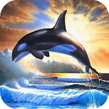 Dolphin live wallpaper icon