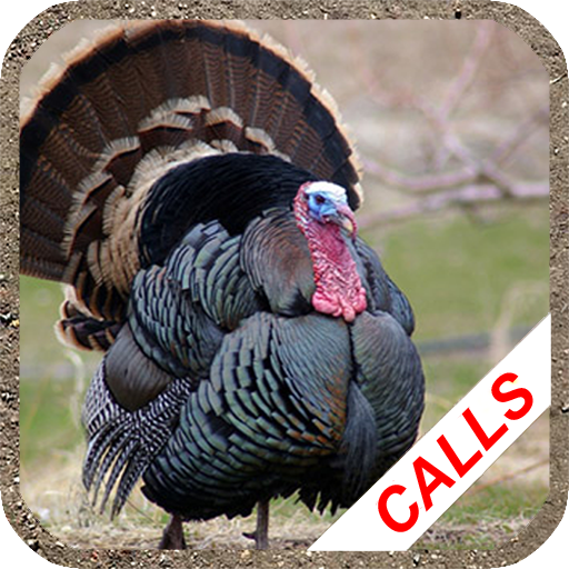 Turkey hunting calls 3.34 Icon