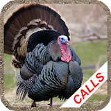 Turkey hunting calls icon