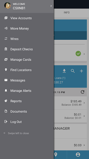 INB Business Banking Screen 3