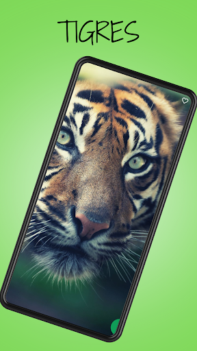 Imagenes De Tigres Screen 3